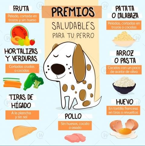 Alimentos para premiar a tu engreído(a)