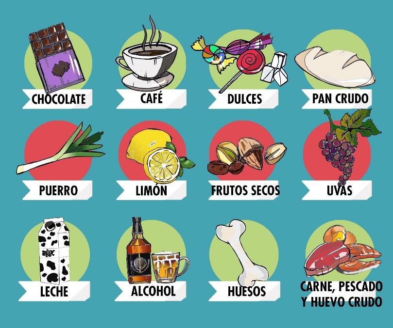 Alimentos prohibidos para tu engreído(a)